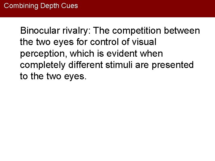 Combining Depth Cues Binocular rivalry: The competition between the two eyes for control of