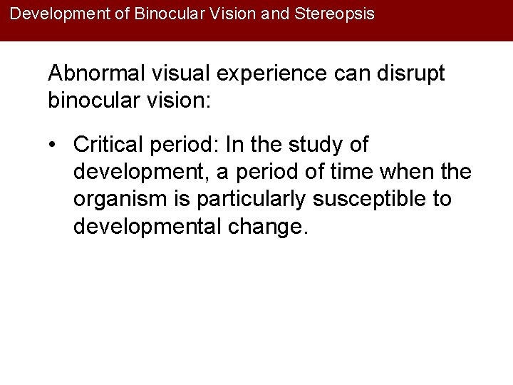 Development of Binocular Vision and Stereopsis Abnormal visual experience can disrupt binocular vision: •