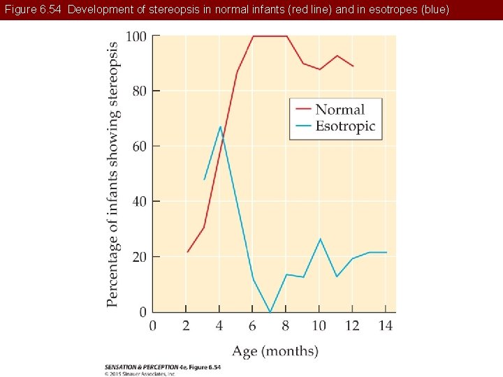 Figure 6. 54 Development of stereopsis in normal infants (red line) and in esotropes