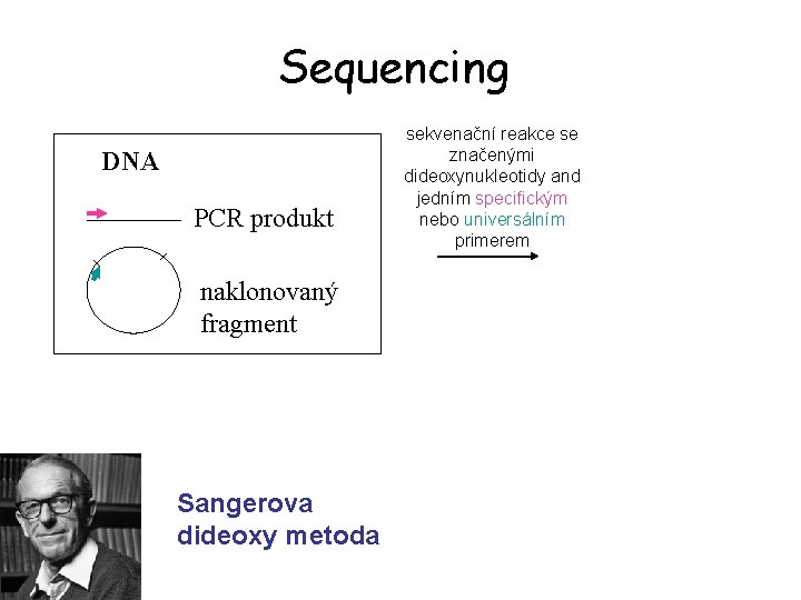 Sequencing DNA PCR produkt naklonovaný fragment Sangerova dideoxy metoda sekvenační reakce se značenými dideoxynukleotidy