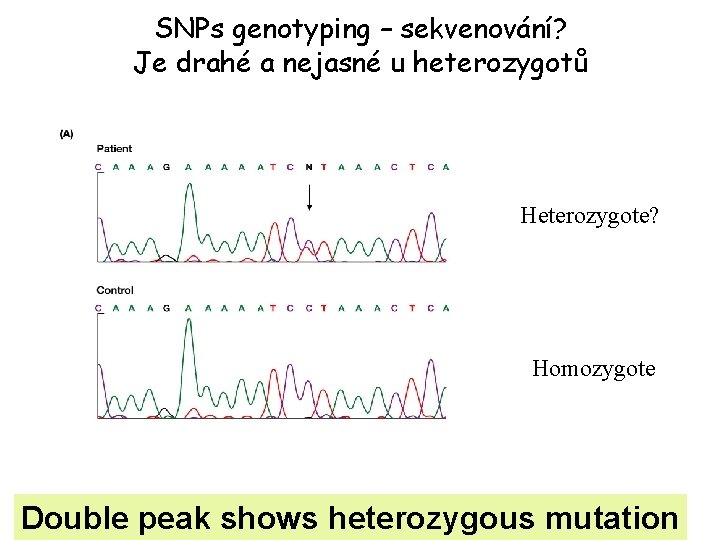 SNPs genotyping – sekvenování? Je drahé a nejasné u heterozygotů Heterozygote? Homozygote Double peak