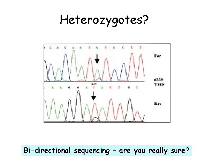 Heterozygotes? Bi-directional sequencing – are you really sure? 