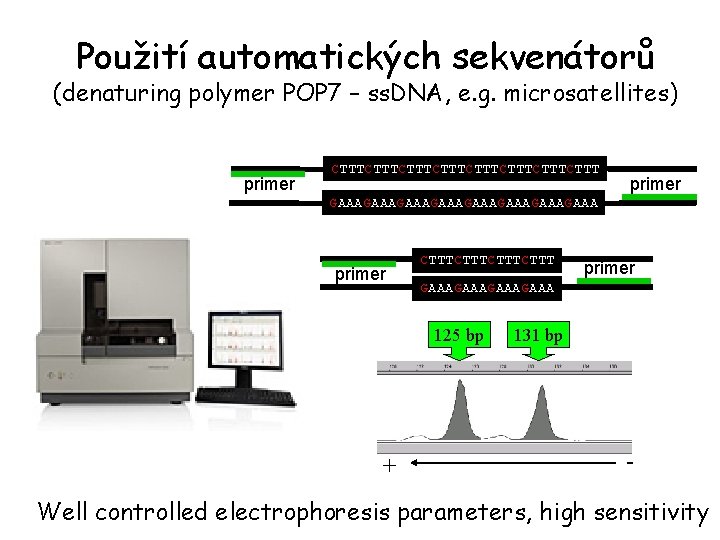 Použití automatických sekvenátorů (denaturing polymer POP 7 – ss. DNA, e. g. microsatellites) primer