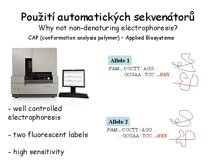 Použití automatických sekvenátorů Why not non-denaturing electrophoresis? CAP (conformation analysis polymer) – Applied Biosystems