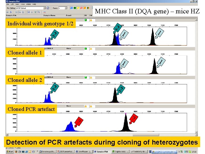 MHC Class II (DQA gene) – mice HZ Individual with genotype 1/2 2 2