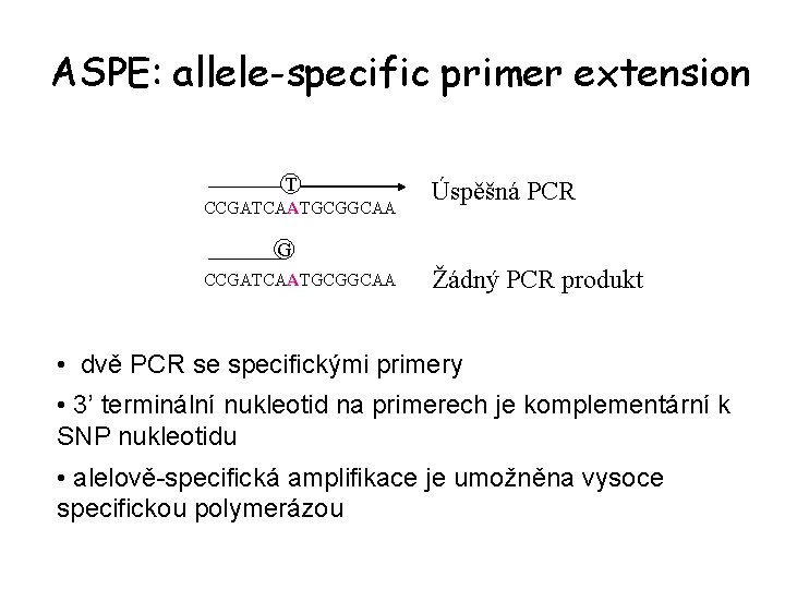 ASPE: allele-specific primer extension T CCGATCAATGCGGCAA Úspěšná PCR G CCGATCAATGCGGCAA Žádný PCR produkt •