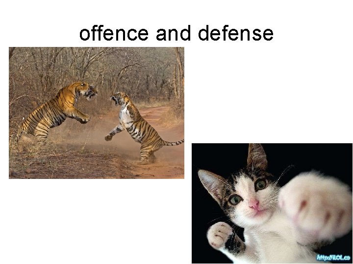 offence and defense 