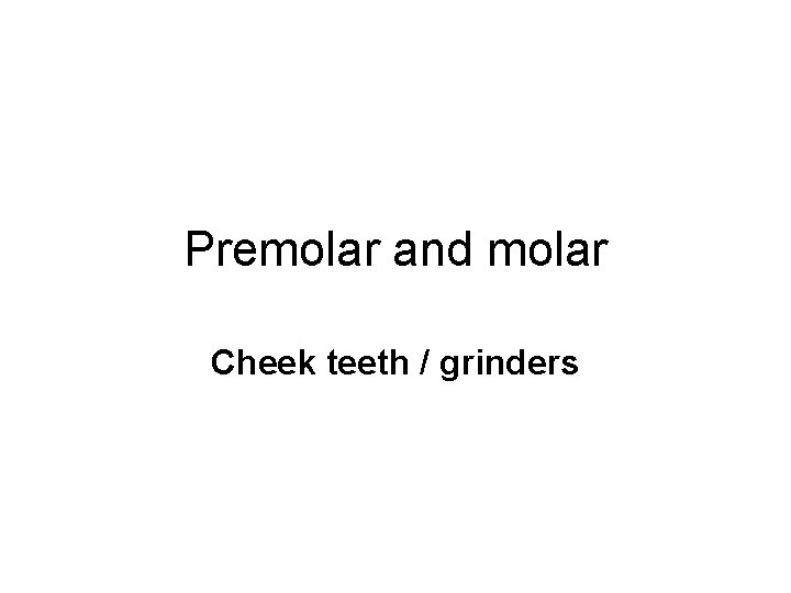 Premolar and molar Cheek teeth / grinders 