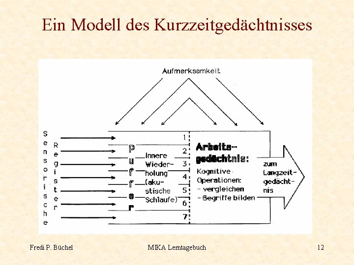 Ein Modell des Kurzzeitgedächtnisses Fredi P. Büchel MIKA Lerntagebuch 12 