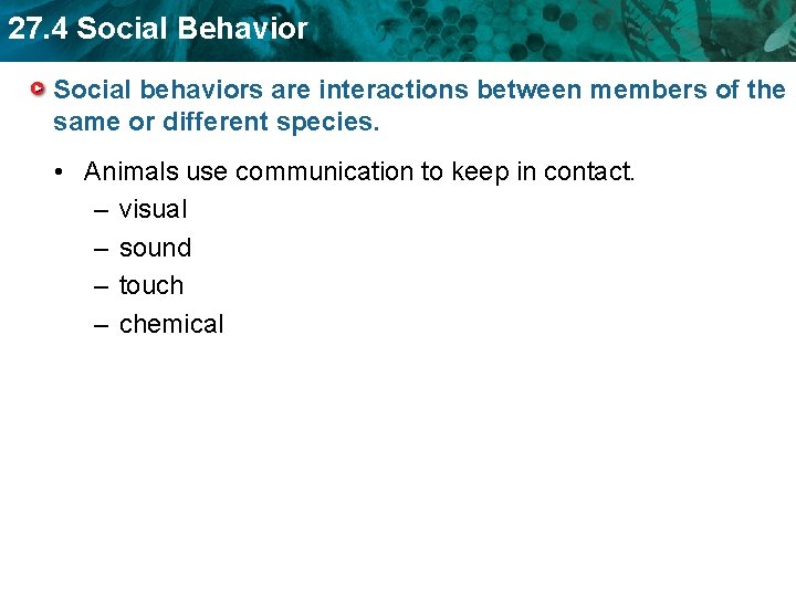 27. 4 Social Behavior Social behaviors are interactions between members of the same or