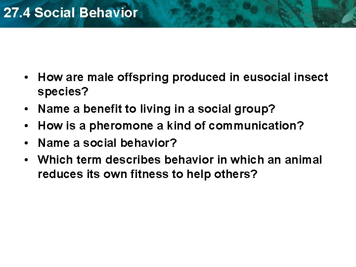 27. 4 Social Behavior • How are male offspring produced in eusocial insect species?