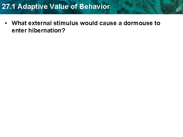 27. 1 Adaptive Value of Behavior • What external stimulus would cause a dormouse