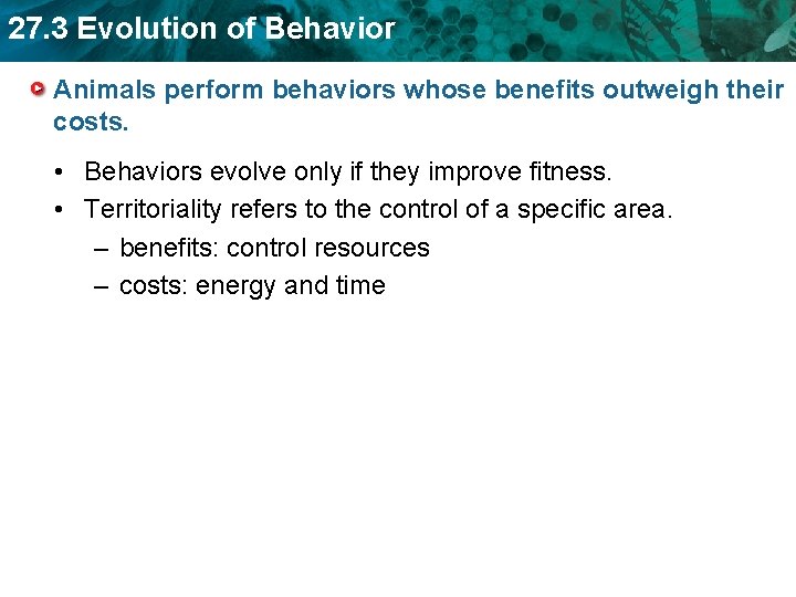 27. 3 Evolution of Behavior Animals perform behaviors whose benefits outweigh their costs. •
