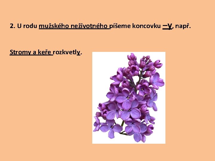 2. U rodu mužského neživotného píšeme koncovku –y, např. Stromy a keře rozkvetly. 