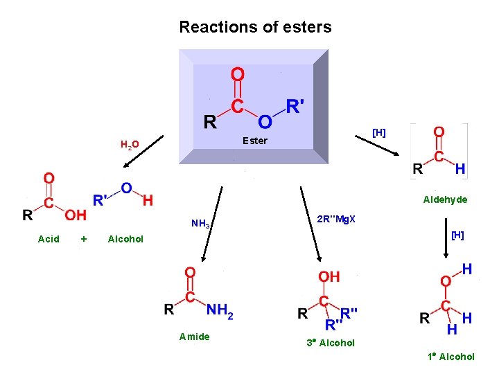 Reactions of esters [H] Ester H 2 O Aldehyde NH 3 Acid + 2