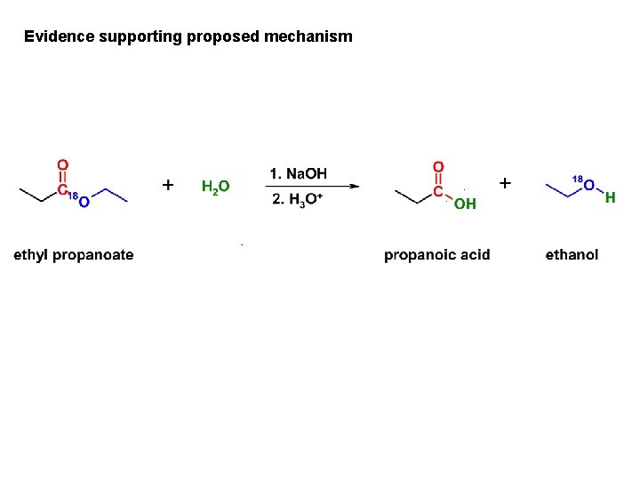 Evidence supporting proposed mechanism 
