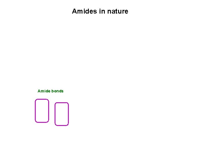 Amides in nature Amide bonds 