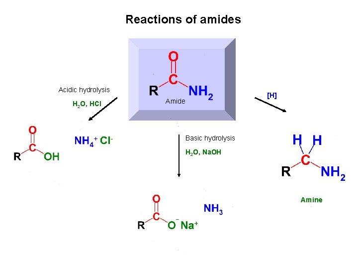 Reactions of amides Acidic hydrolysis H 2 O, HCl Amide [H] Basic hydrolysis H