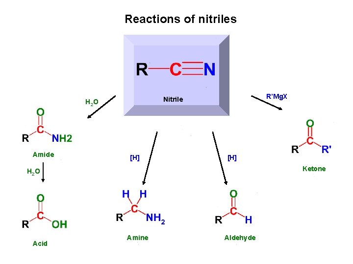 Reactions of nitriles Amide R’Mg. X Nitrile H 2 O [H] Ketone H 2