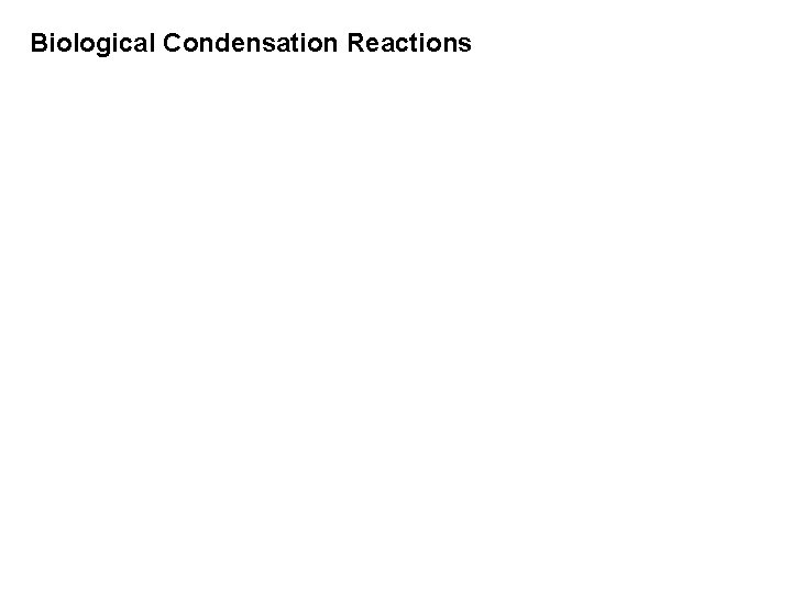 Biological Condensation Reactions 