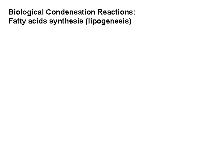 Biological Condensation Reactions: Fatty acids synthesis (lipogenesis) 