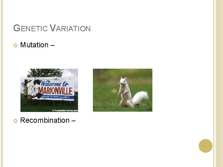 GENETIC VARIATION Mutation – Recombination – 