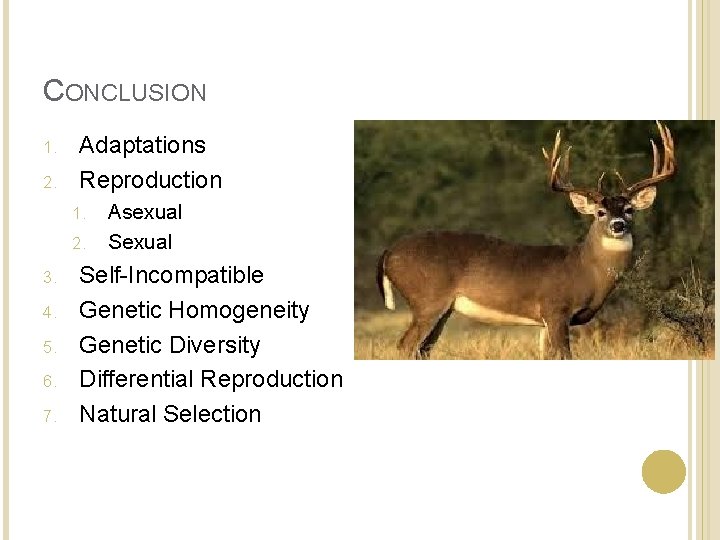 CONCLUSION 1. 2. Adaptations Reproduction 1. 2. 3. 4. 5. 6. 7. Asexual Self-Incompatible