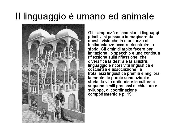 Il linguaggio è umano ed animale Gli scimpanzè e l’ameslan, i linguaggi primitivi si