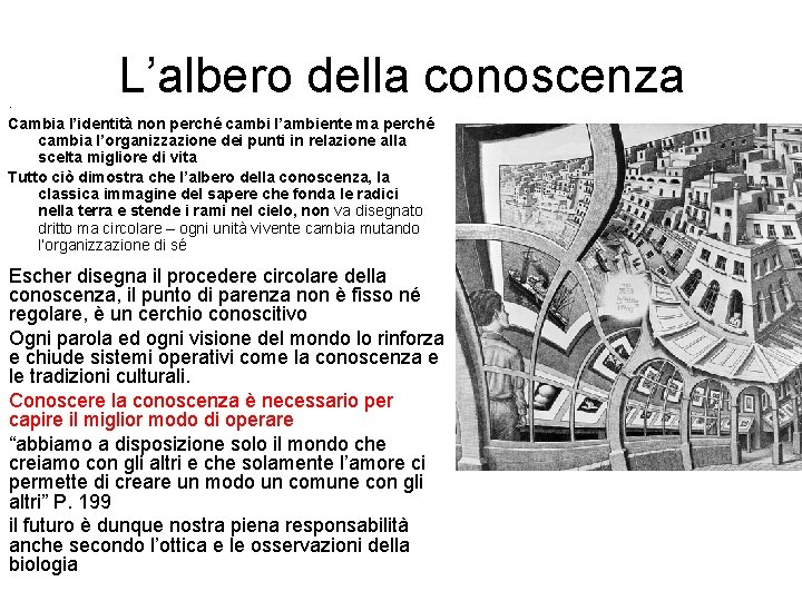 L’albero della conoscenza . Cambia l’identità non perché cambi l’ambiente ma perché cambia l’organizzazione