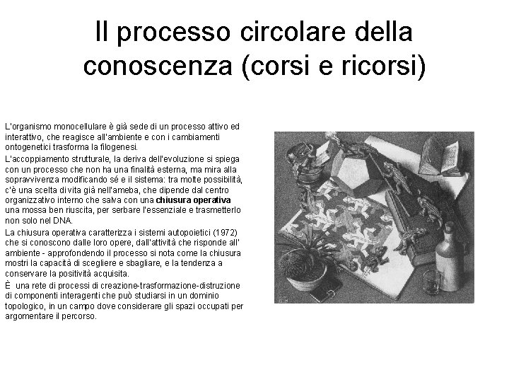 Il processo circolare della conoscenza (corsi e ricorsi) L’organismo monocellulare è già sede di