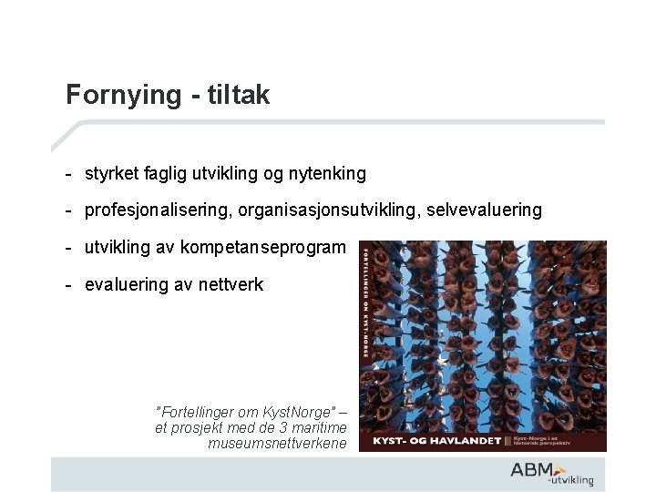 Fornying - tiltak - styrket faglig utvikling og nytenking - profesjonalisering, organisasjonsutvikling, selvevaluering -