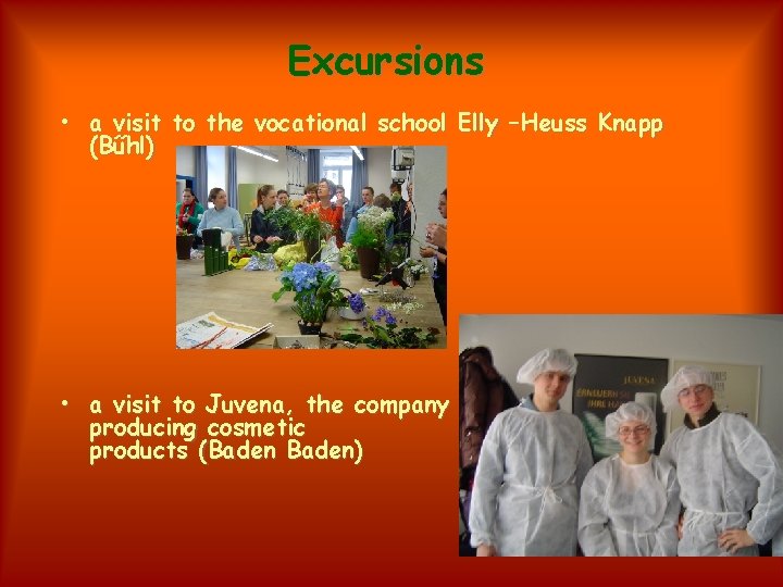 Excursions • a visit to the vocational school Elly –Heuss Knapp (Bűhl) • a
