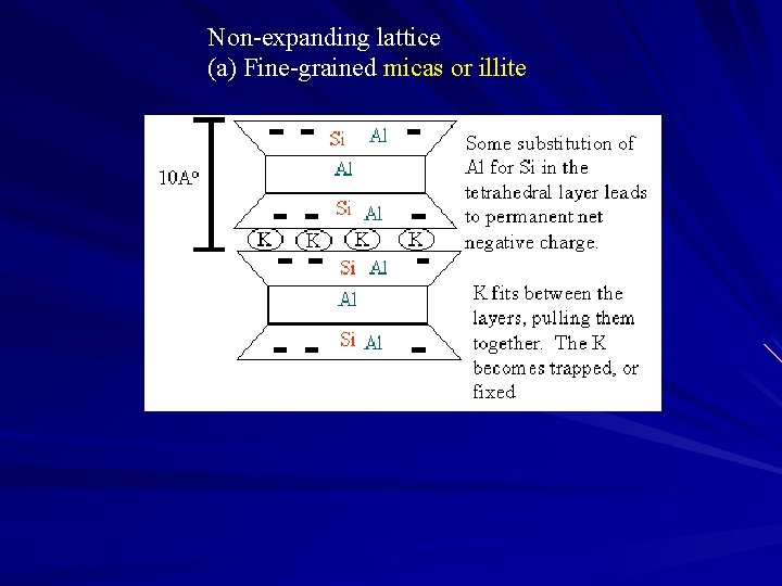 Non-expanding lattice (a) Fine-grained micas or illite 