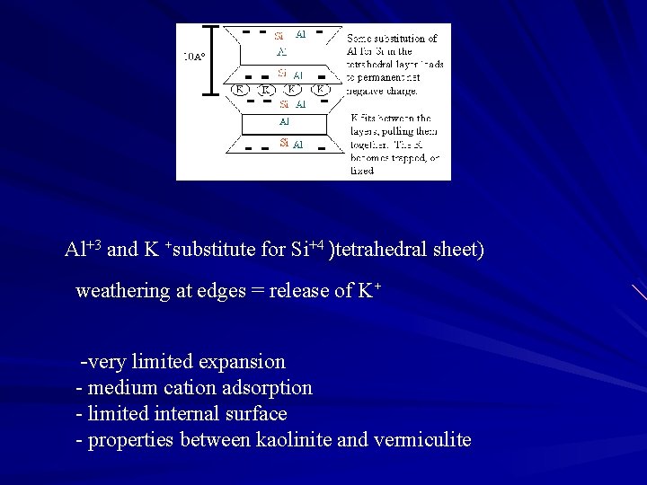 Al+3 and K +substitute for Si+4 )tetrahedral sheet) weathering at edges = release of