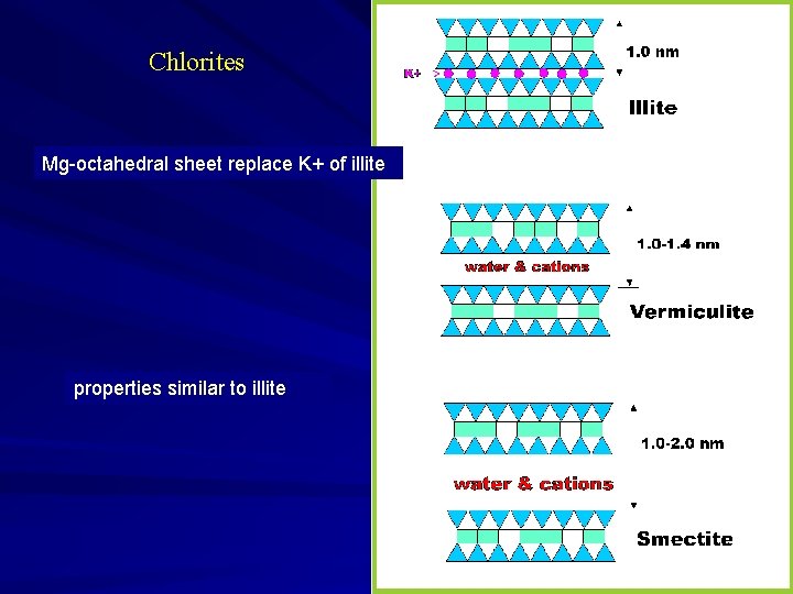 Chlorites Mg-octahedral sheet replace K+ of illite properties similar to illite 