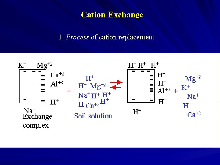 Cation Exchange 1. Process of cation replacement 