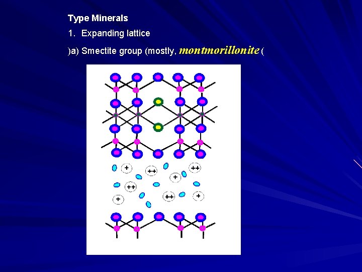 Type Minerals 1. Expanding lattice )a) Smectite group (mostly, montmorillonite ( 