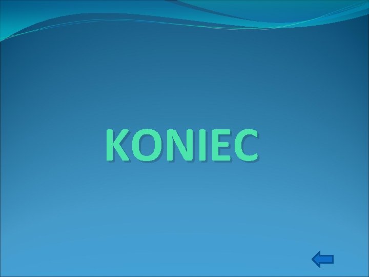 KONIEC 