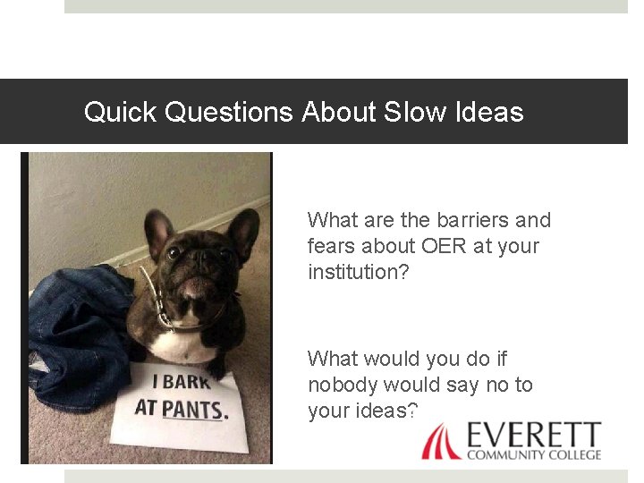 Quick Questions About Slow Ideas What are the barriers and fears about OER at