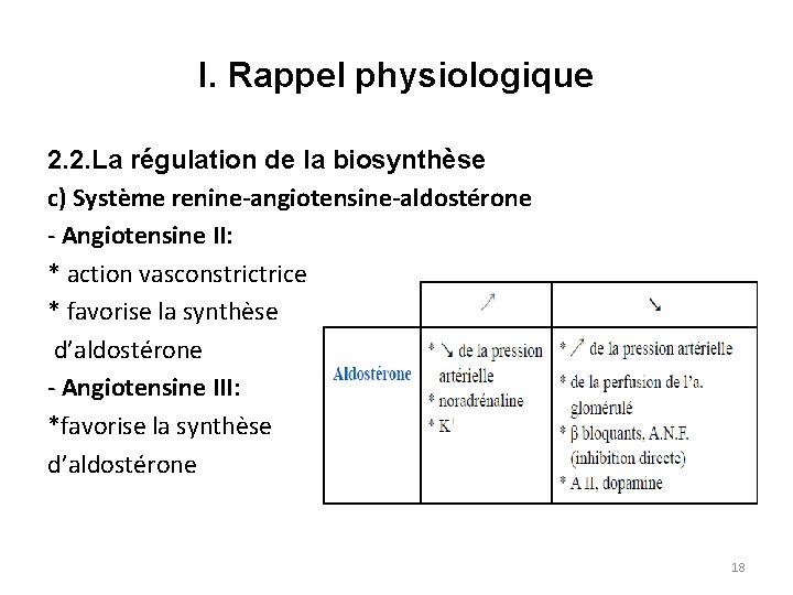 I. Rappel physiologique 2. 2. La régulation de la biosynthèse c) Système renine-angiotensine-aldostérone Angiotensine