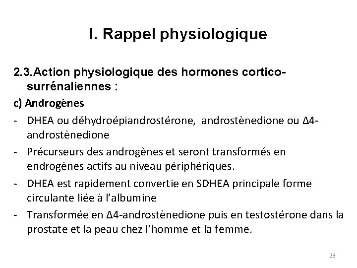 I. Rappel physiologique 2. 3. Action physiologique des hormones corticosurrénaliennes : c) Androgènes DHEA