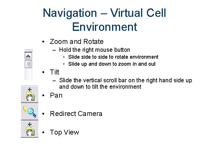 Navigation – Virtual Cell Environment • Zoom and Rotate – Hold the right mouse