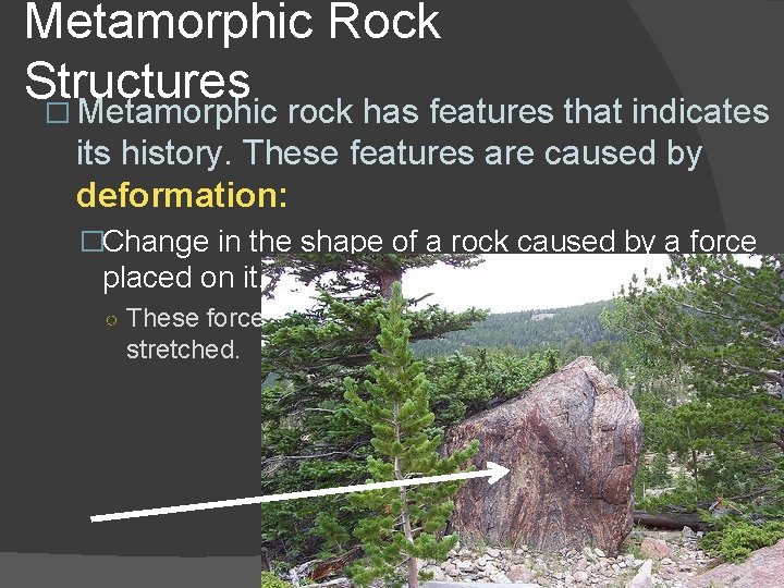 Metamorphic Rock Structures � Metamorphic rock has features that indicates its history. These features