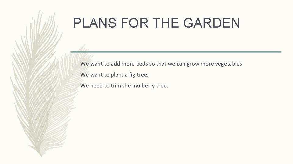 PLANS FOR THE GARDEN – We want to add more beds so that we