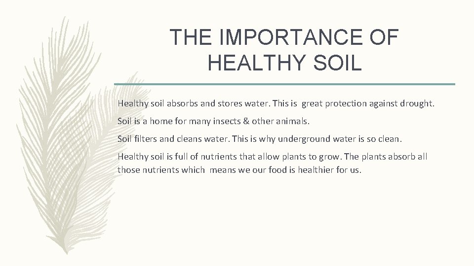 THE IMPORTANCE OF HEALTHY SOIL Healthy soil absorbs and stores water. This is great