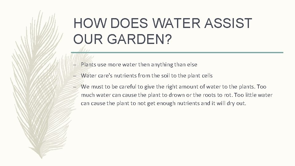 HOW DOES WATER ASSIST OUR GARDEN? – Plants use more water then anything than