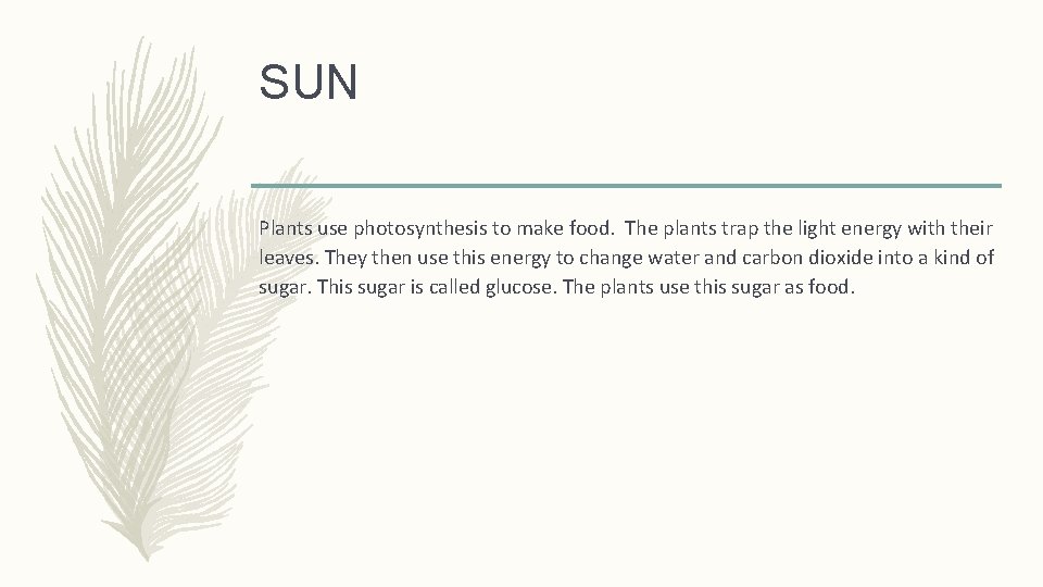 SUN Plants use photosynthesis to make food. The plants trap the light energy with