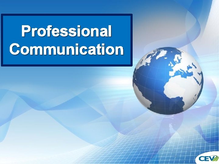 Professional Communication Communicating Professionally 