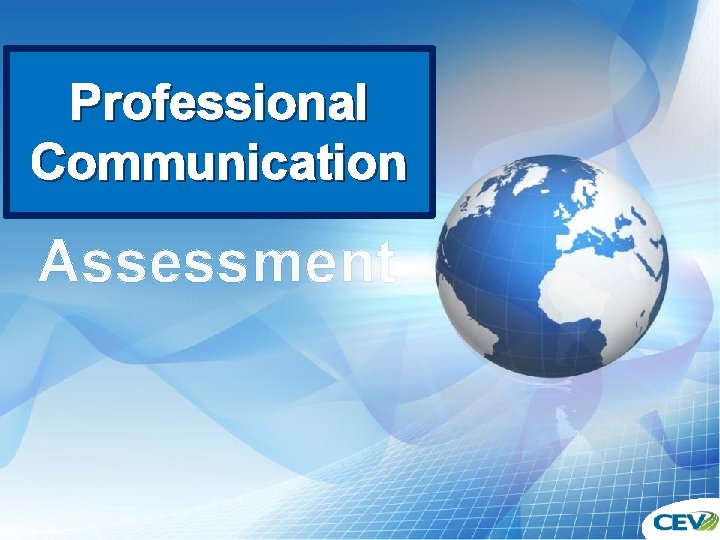 Professional Communication Communicating Professionally Assessment 
