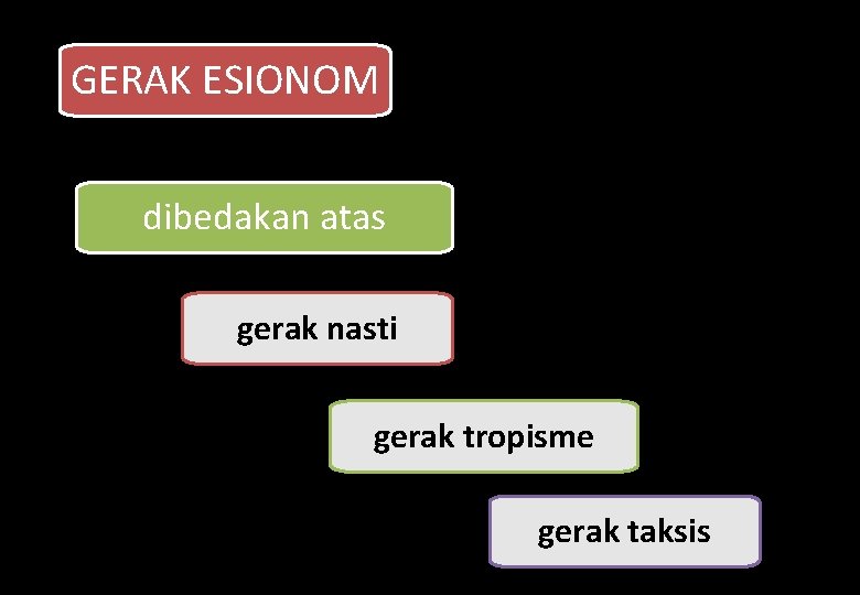 GERAK ESIONOM dibedakan atas gerak nasti gerak tropisme gerak taksis 